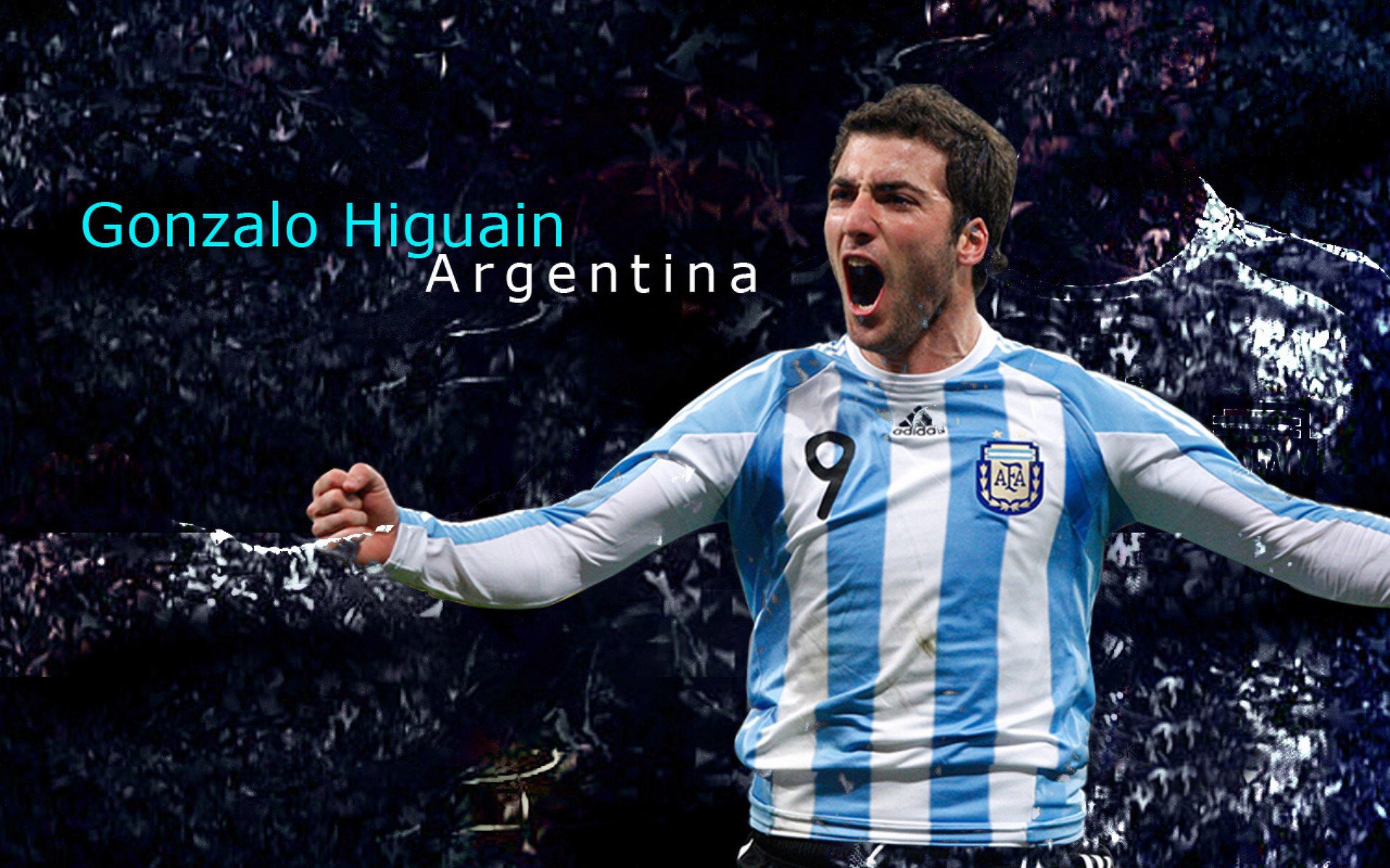 全球体育热点盘点